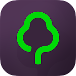 Gumtree
