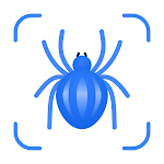 Picture Insect