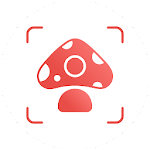 Picture Mushroom