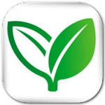 Home Remedies Lite