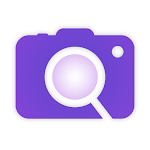 Reverse Image Search