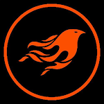 Shen vpn