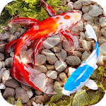 Fish Tank Live Wallpaper